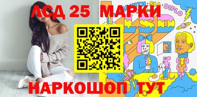 a pvp Новозыбков