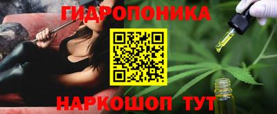 a pvp Новозыбков