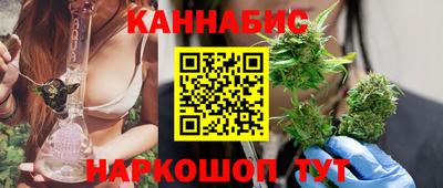 a pvp Новозыбков