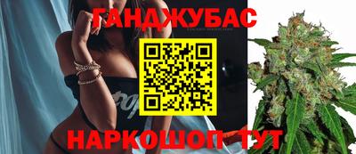 a pvp Новозыбков