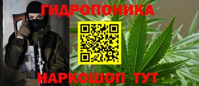 a pvp Новозыбков