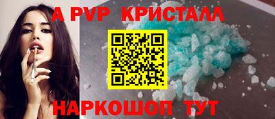 a pvp Новозыбков