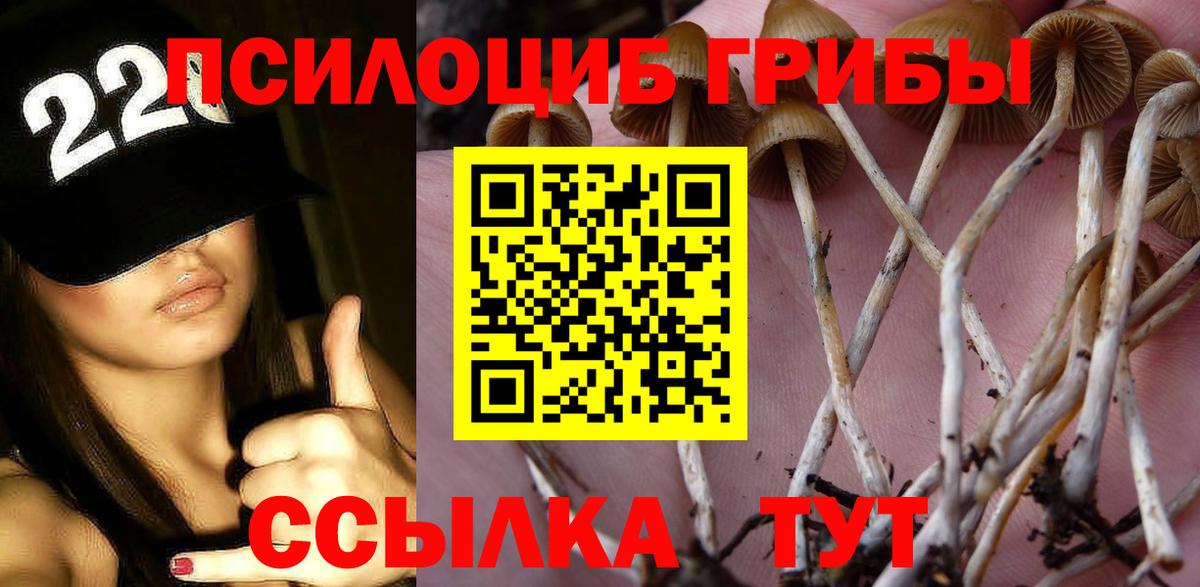 Псилоцибиновые грибы мухоморы Рузаевка