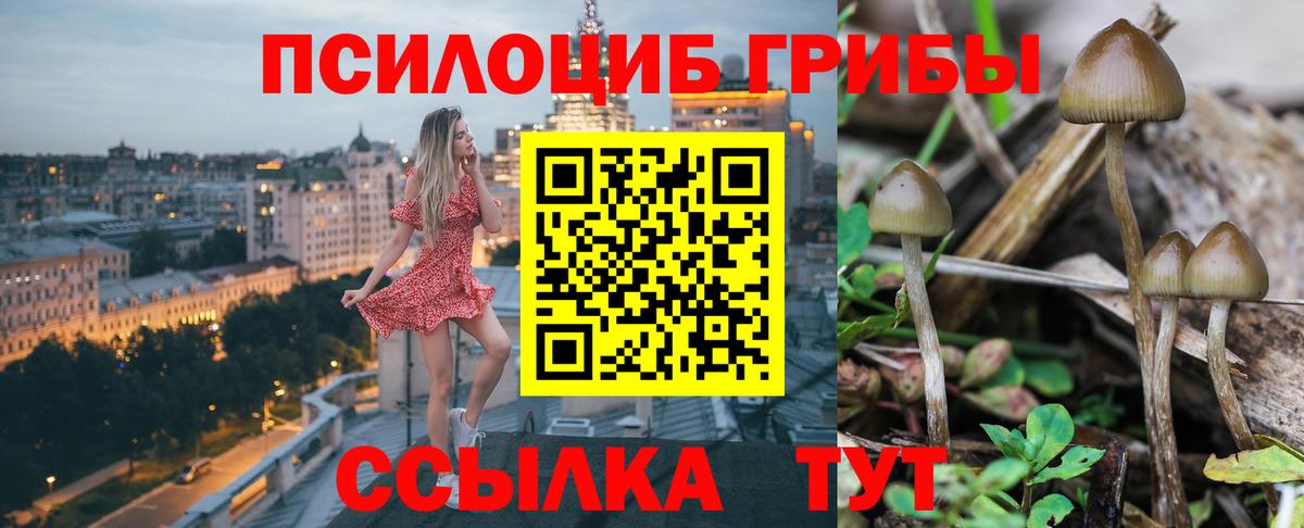 Рузаевка  Псилоцибиновые грибы ЛСД  Вход с VPN 